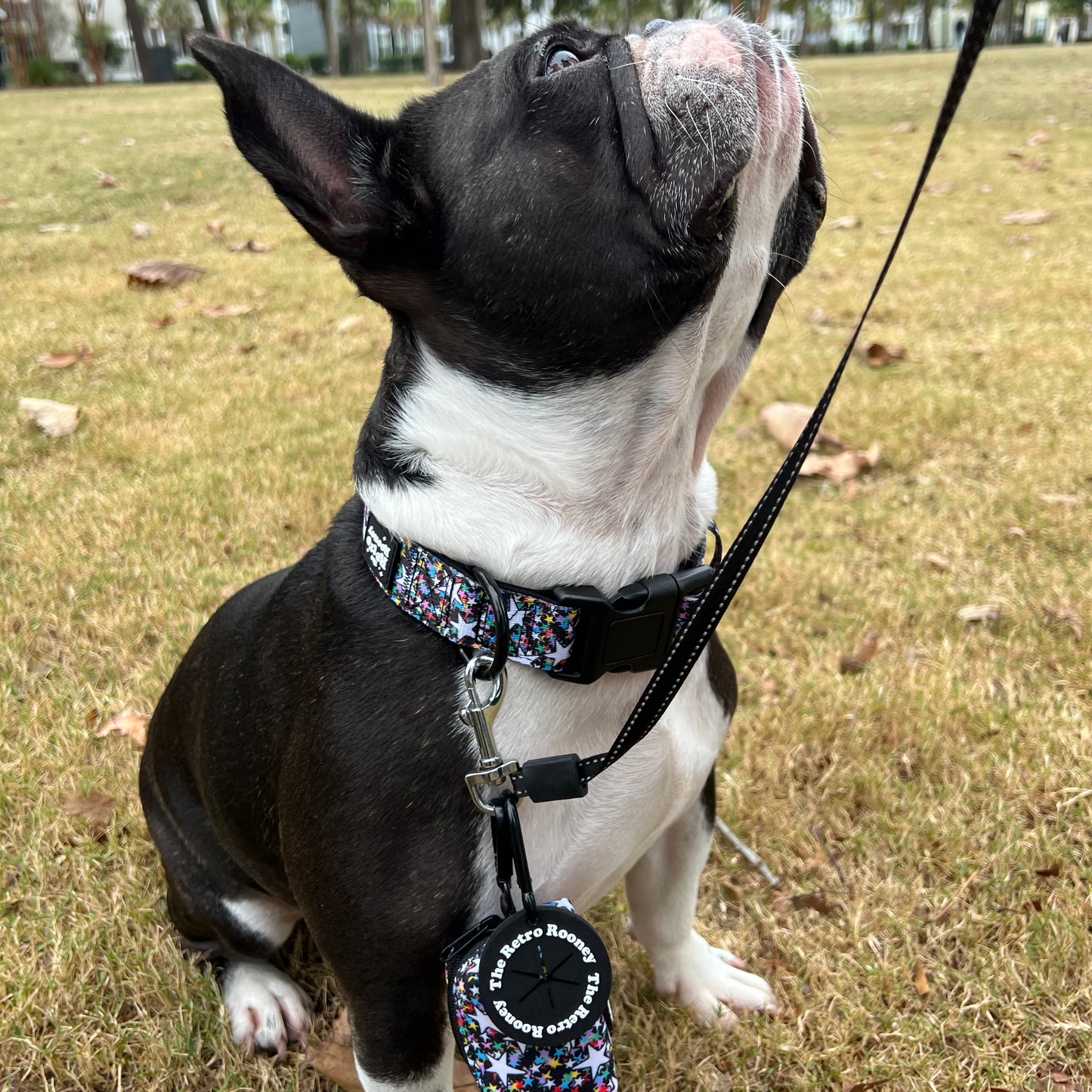 Cosmic Stars Collar