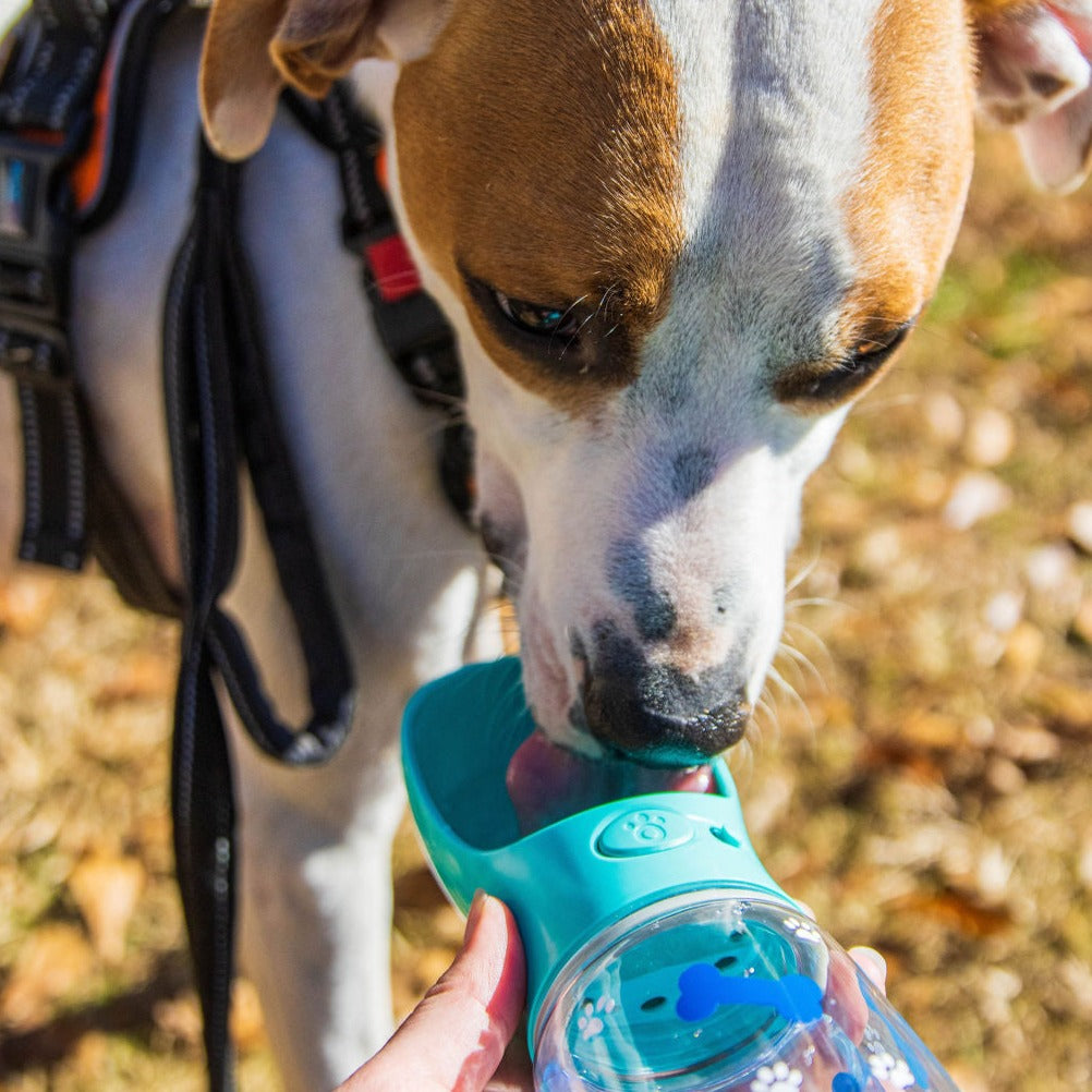 Retro Custom Water Bottle