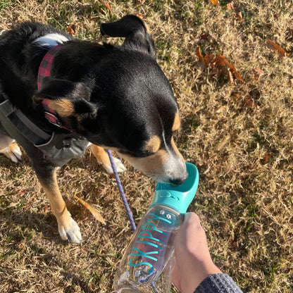 Retro Custom Water Bottle