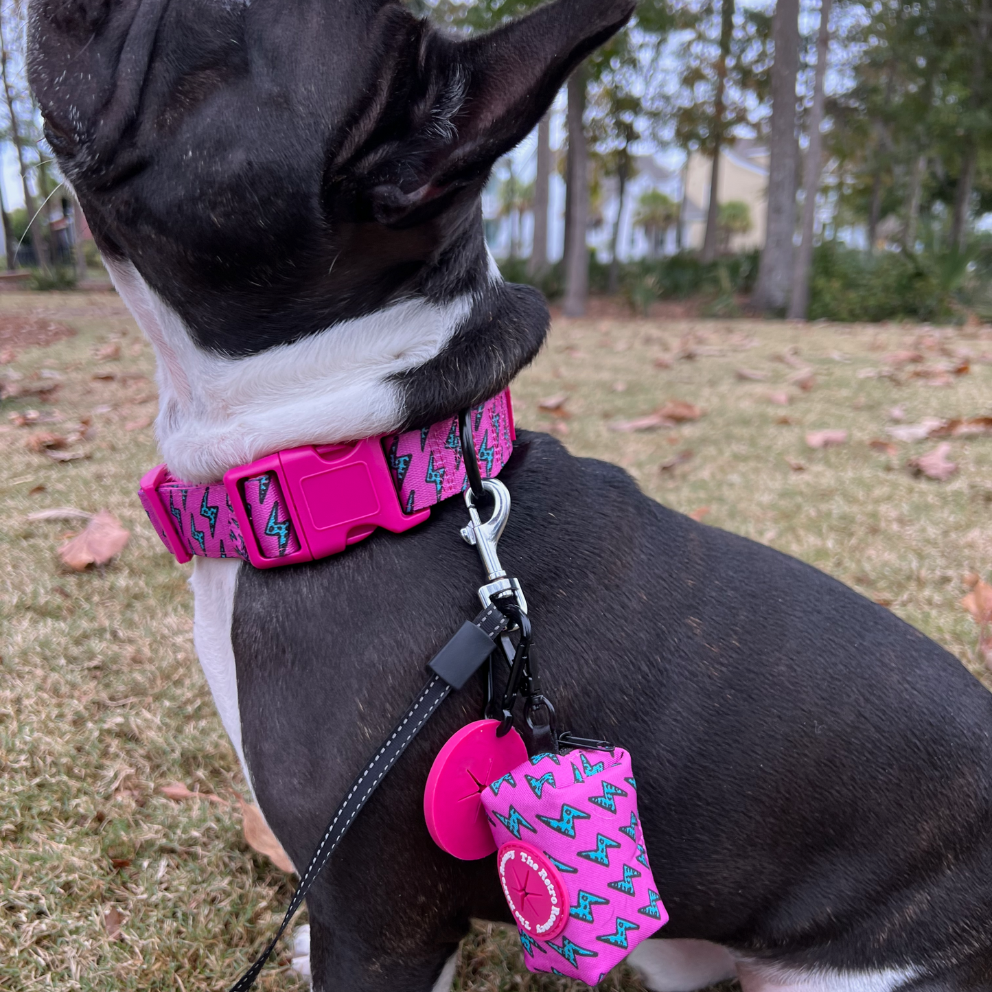 Lightning Bolts Collar