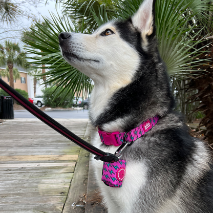 Lightning Bolts Collar